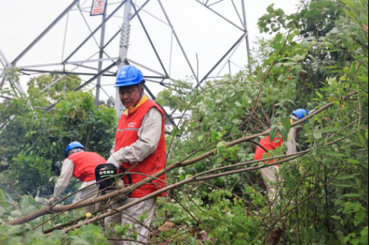 9AD21AE23A8C07B2D931FE95257_DF26BC06_6B162.jpeg?e=