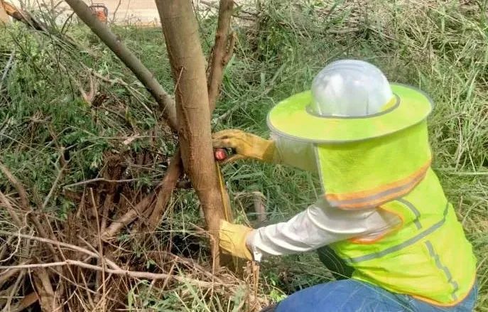 首页- 人生就是博中国官网入口