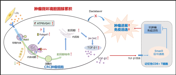 云顶集团·(中国)首页登录